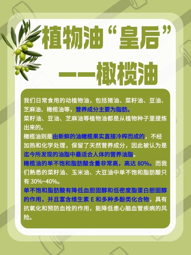 油,才是橄榄的终极形态
