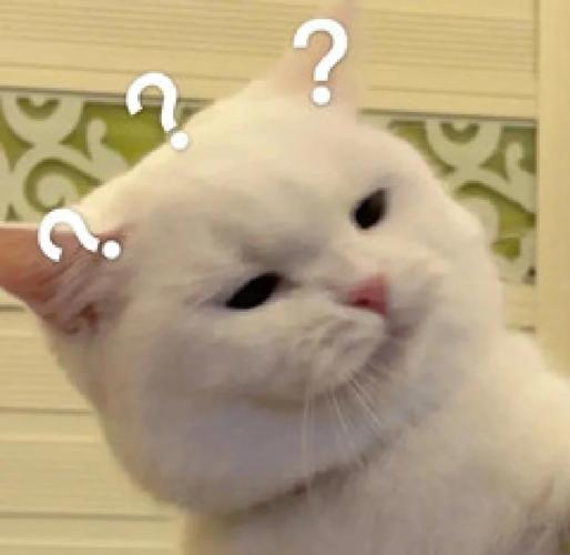 你可能想问……