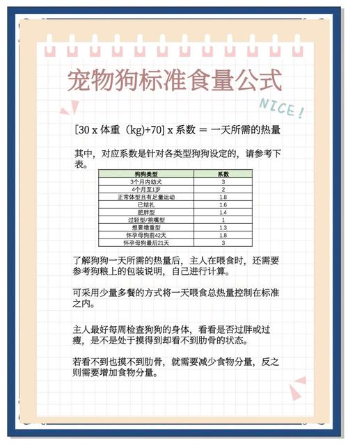 宠物每日需水量参考计算手写笔记
