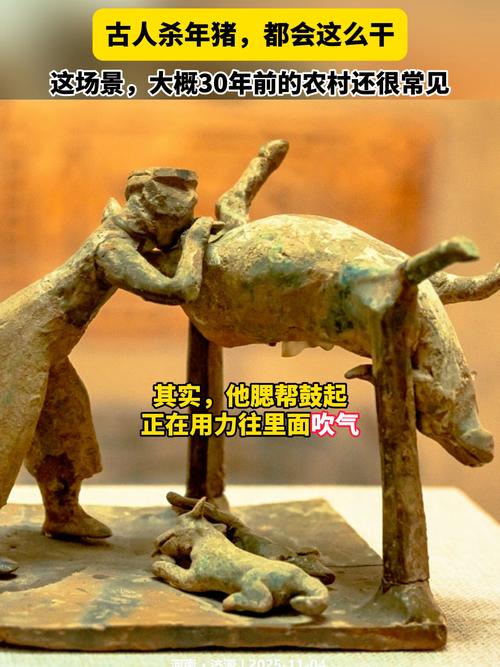 第三站：荒诞的民间博物馆，比大英博物馆还逗