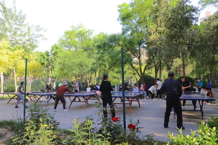 城市公园清晨不同时段晨练人群实拍