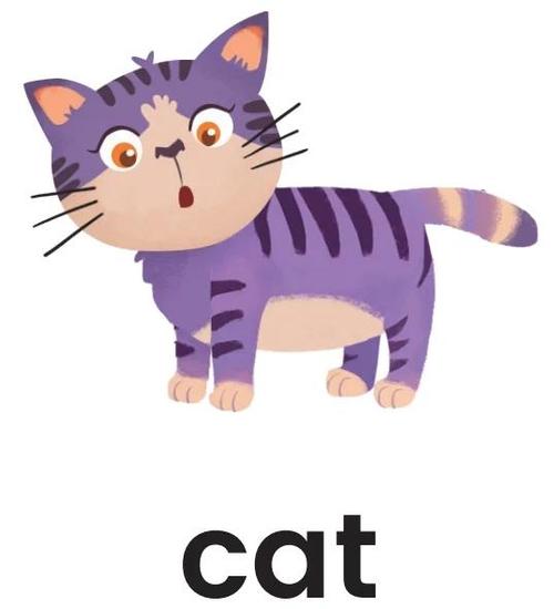 冰箱门上的彩色字母磁铁拼出cat单词