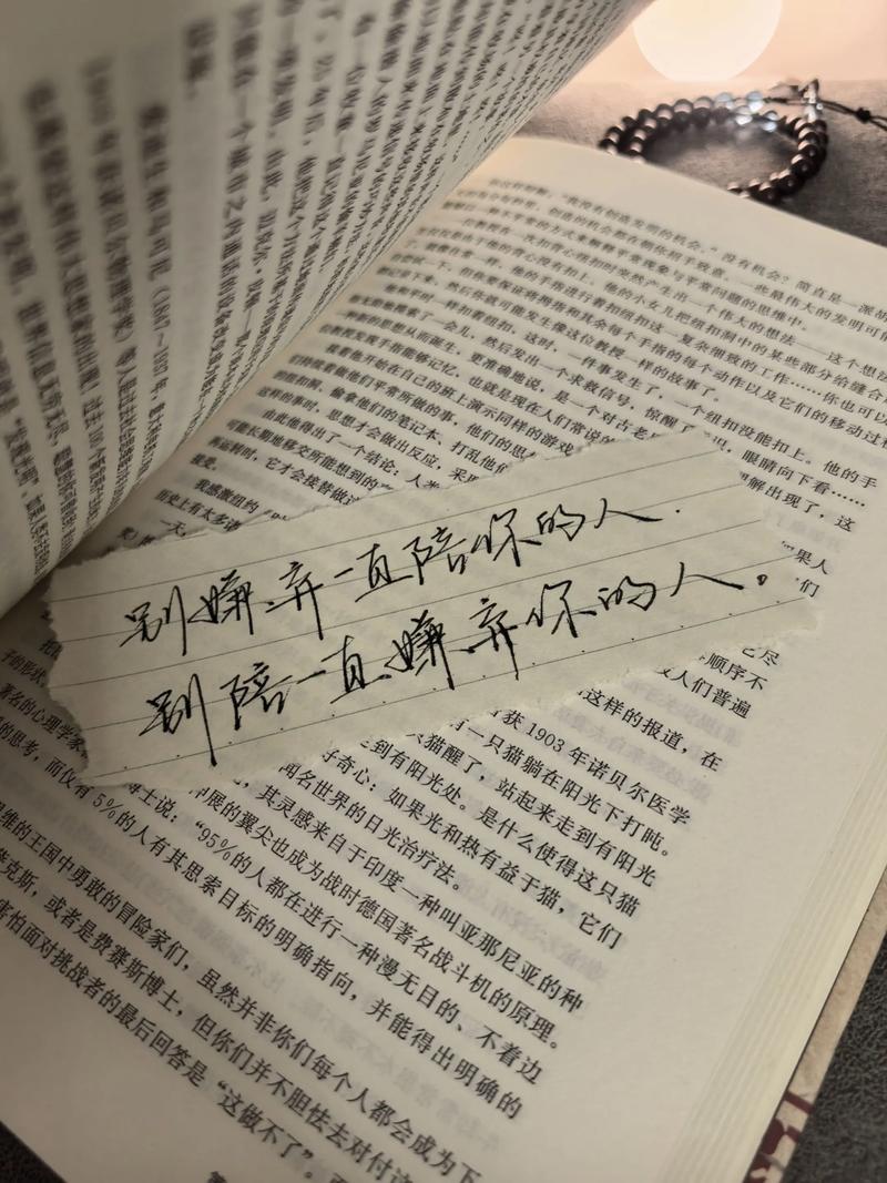 写在最后(别嫌弃,我就想多说一句)