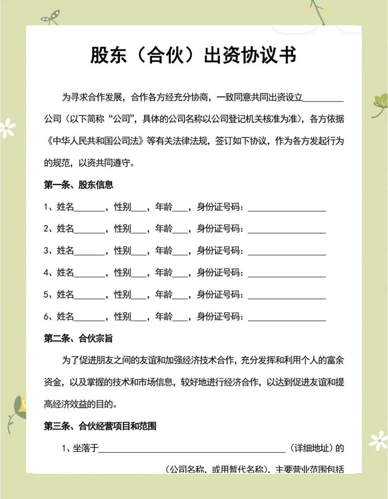 网红MCN公司股东出资协议内页
