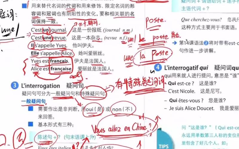 特殊程序与救济环节的常见疑问