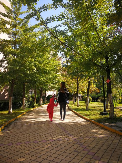小学门口梧桐树下两位妈妈站着聊天场景