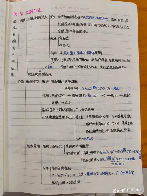 新高考选科高三学生手写思维导图笔记