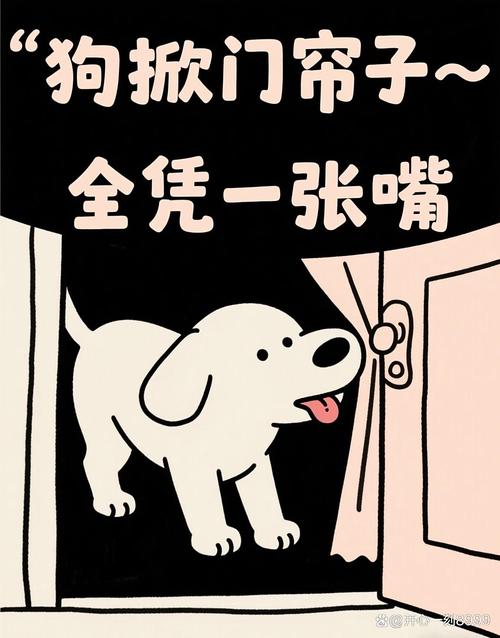 掀帘子走的时候，别落了你的东西