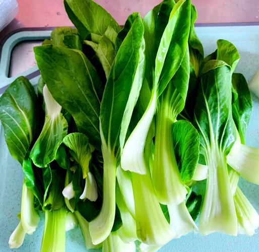 焯水后翠绿欲滴的小油菜特写