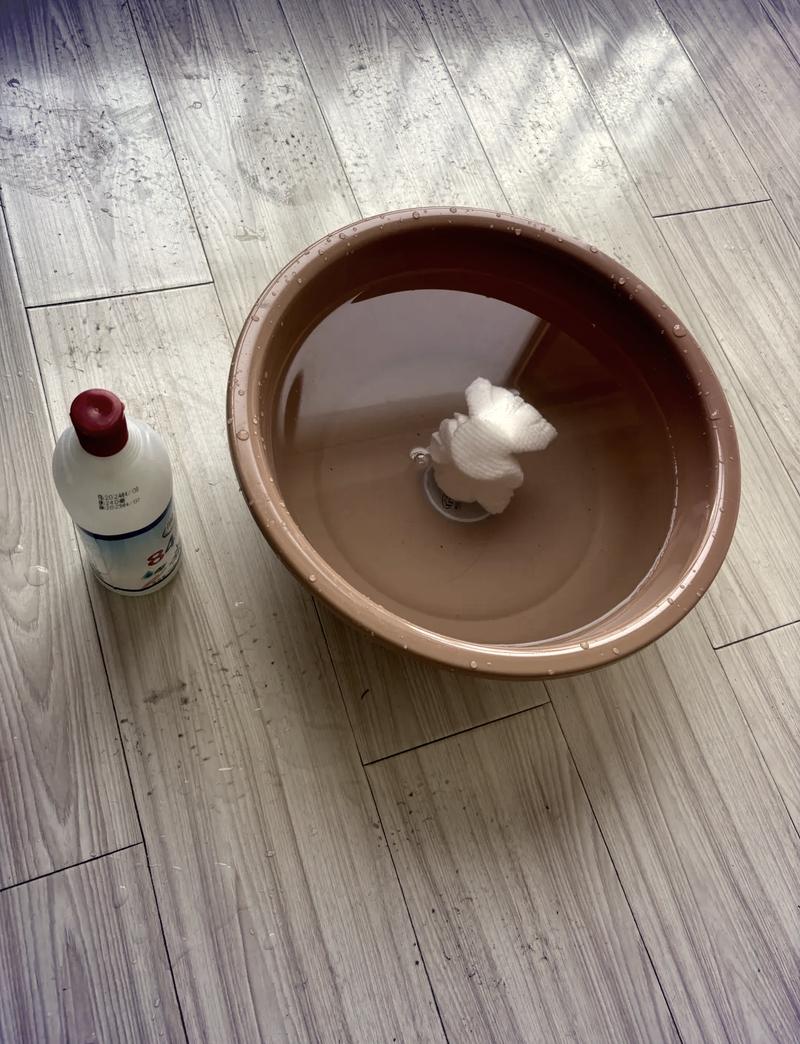 家用宠物消毒错误使用84场景