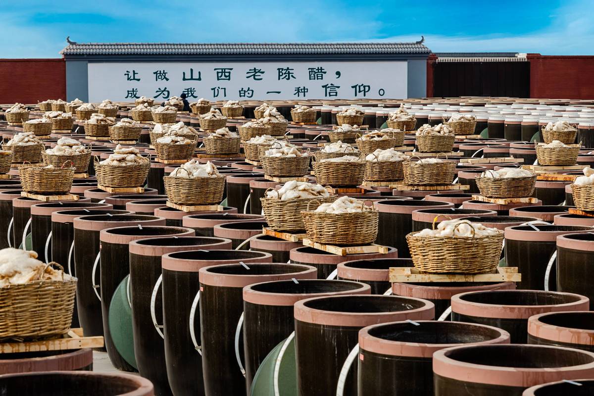 山西清徐老陈醋坊露天晒醋缸群