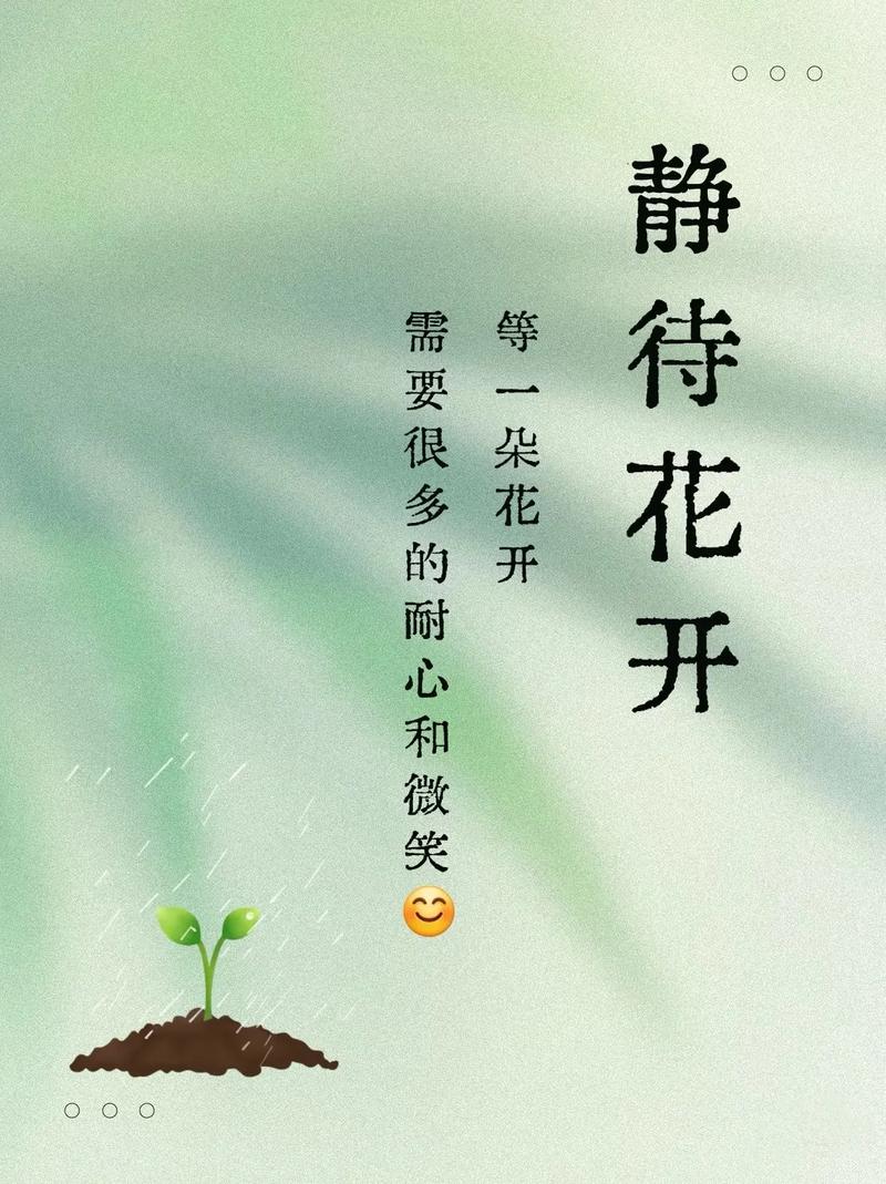 静待花开的勇气,是父母给的
