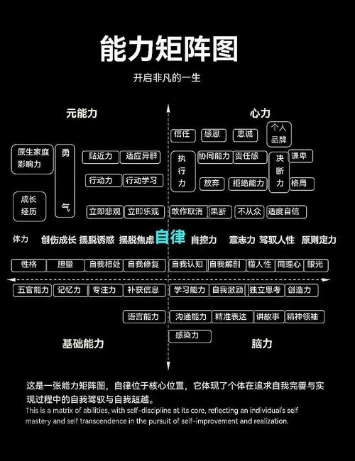 学生职业兴趣与能力交叉评估矩阵图