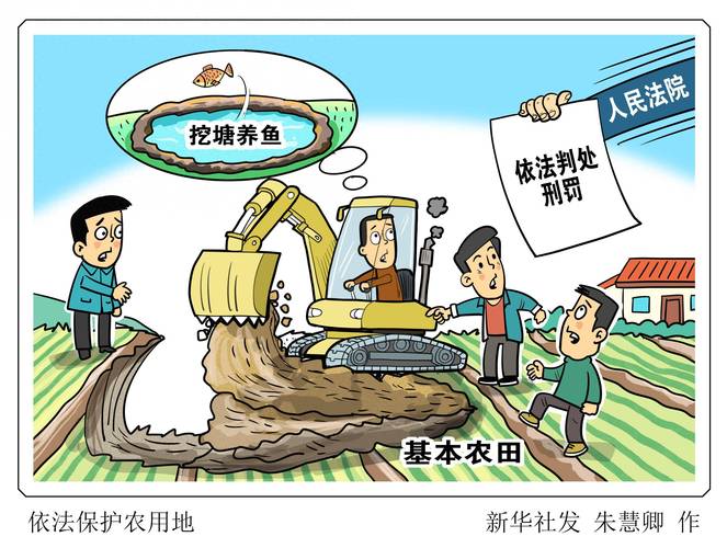 土壤修复责任的法律画像