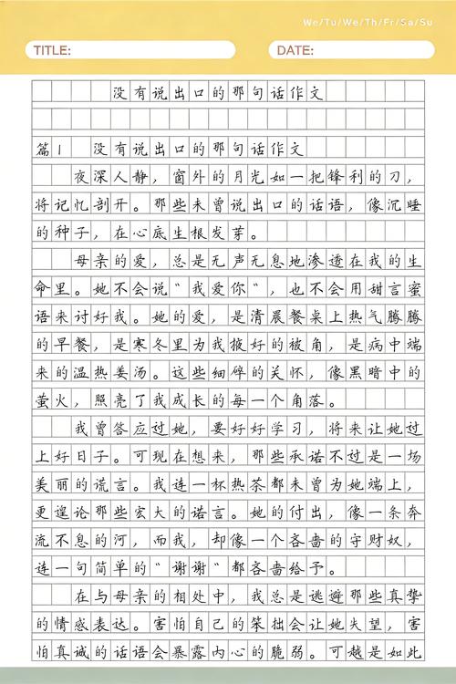 没说出口的话