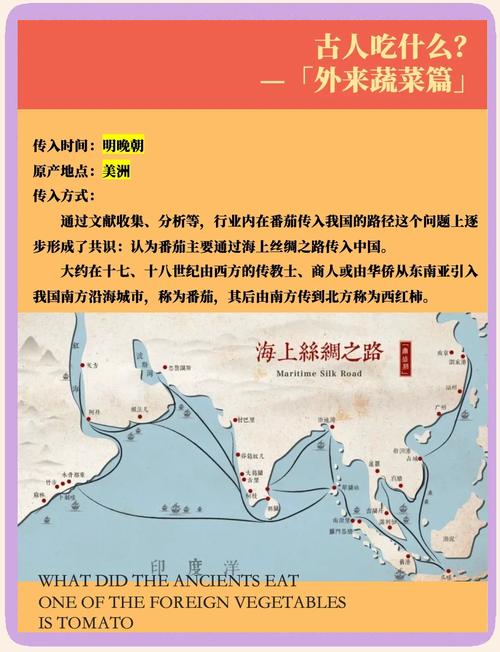 番茄：一颗红果子的全球漂流行记-因为所以