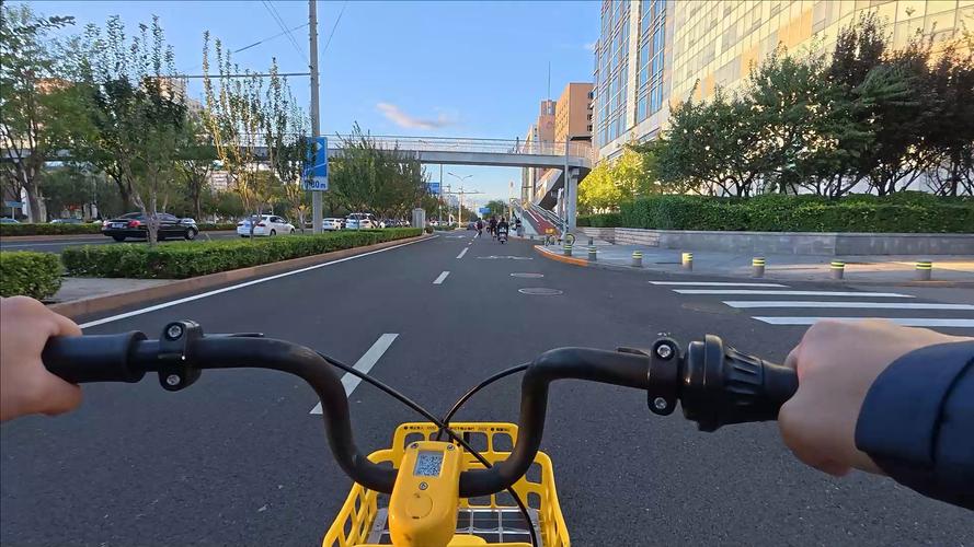 共享单车与步行:甲板上的漫步