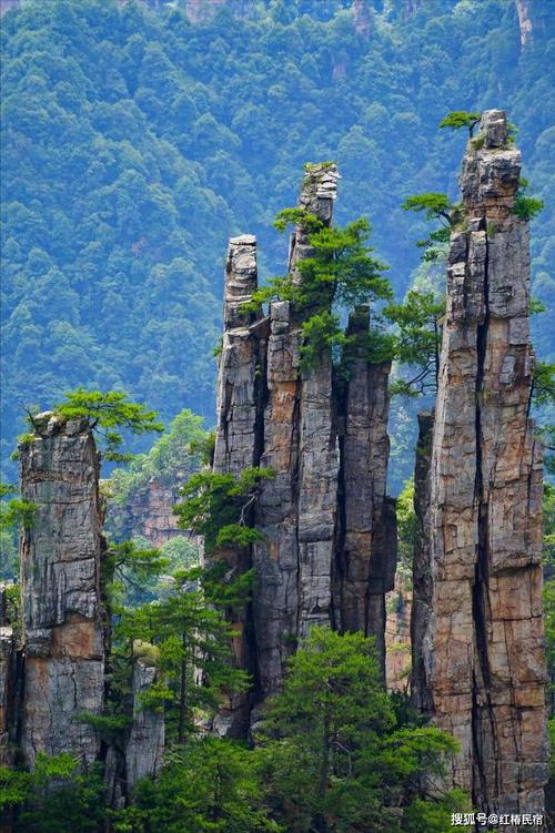 张家界武陵源石英砂岩峰林全景
