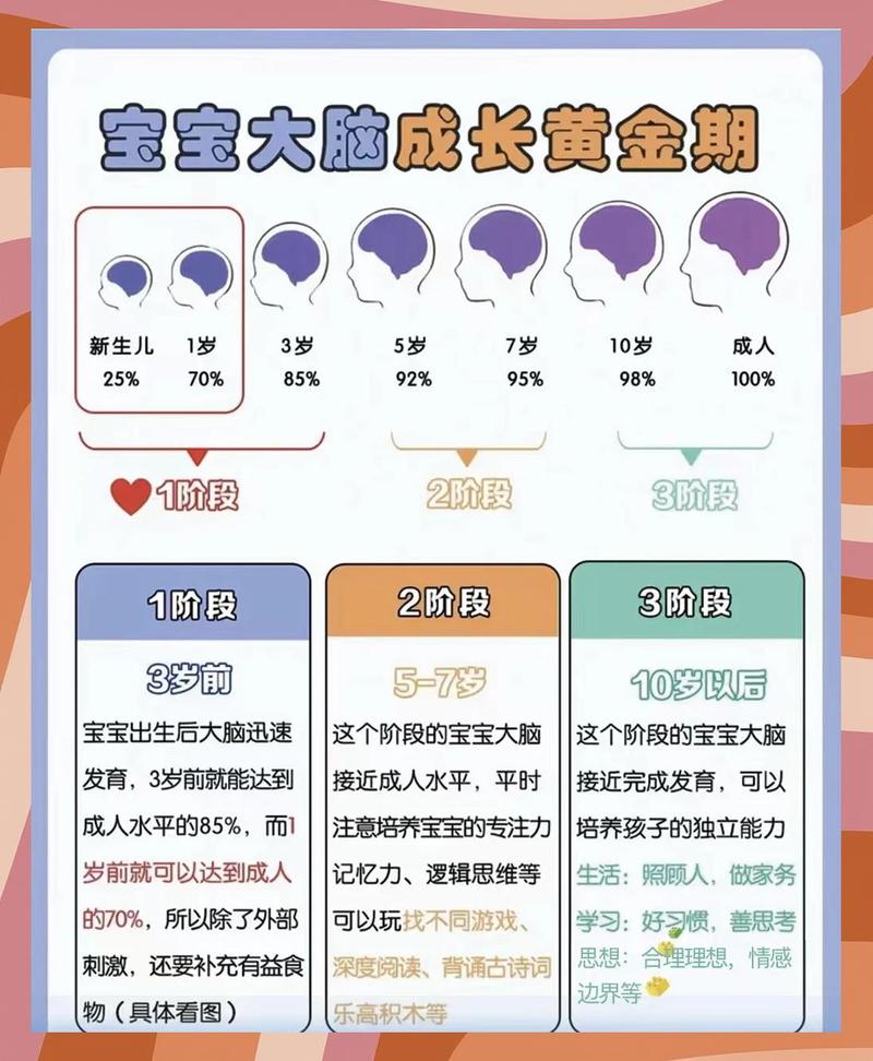 儿童大脑不同年龄段发育示意图