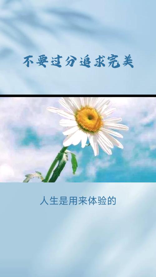别一开始就追求完美