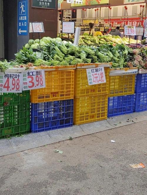 亲手摘的菜，为什么比超市好吃一百倍？