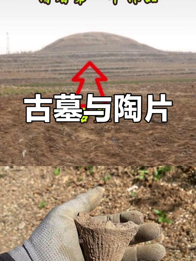豫西野外农田旁古墓葬封土堆现场