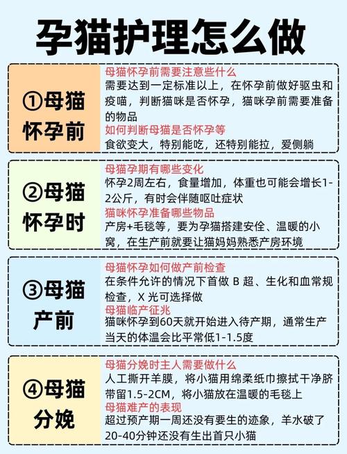 怀孕养猫，到底要怎么做才安全