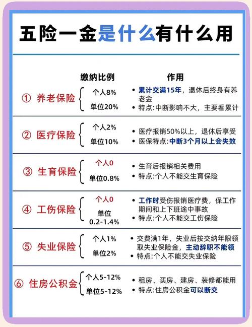 中国职工社保养老保险金缴纳构成结构图