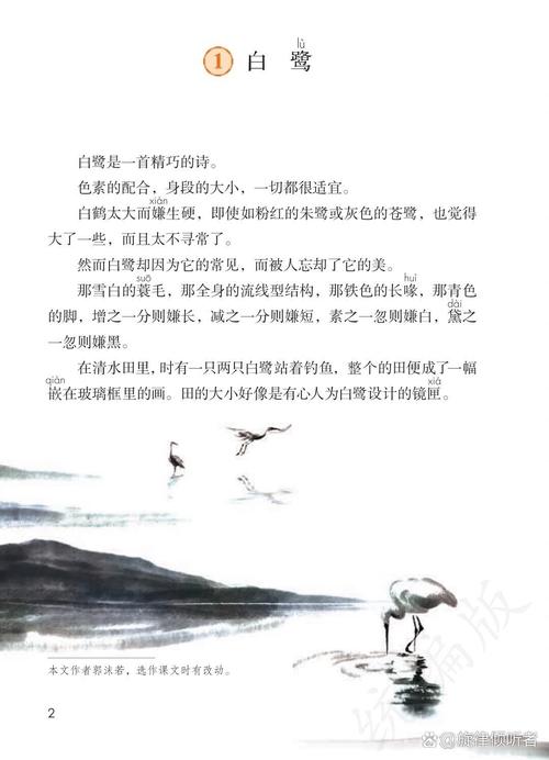 我跟白鹭的‘梁子’