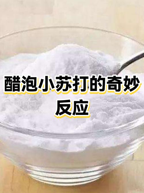 铁钉泡白醋冒出小气泡的亲子实验