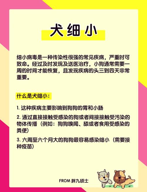 犬细小病毒环境存活时间科普示意图