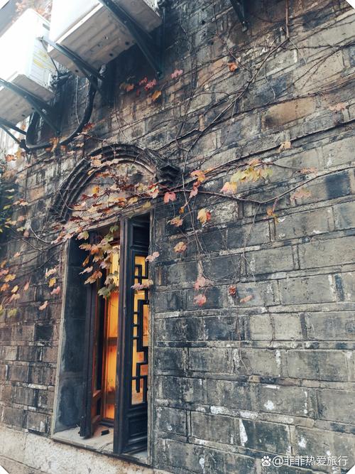 南京老门东箍桶巷青石板路减速带旁倒地青桔单车实拍