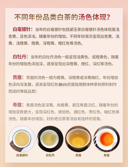 白瓷杯盛放不同品种花草茶汤色对比