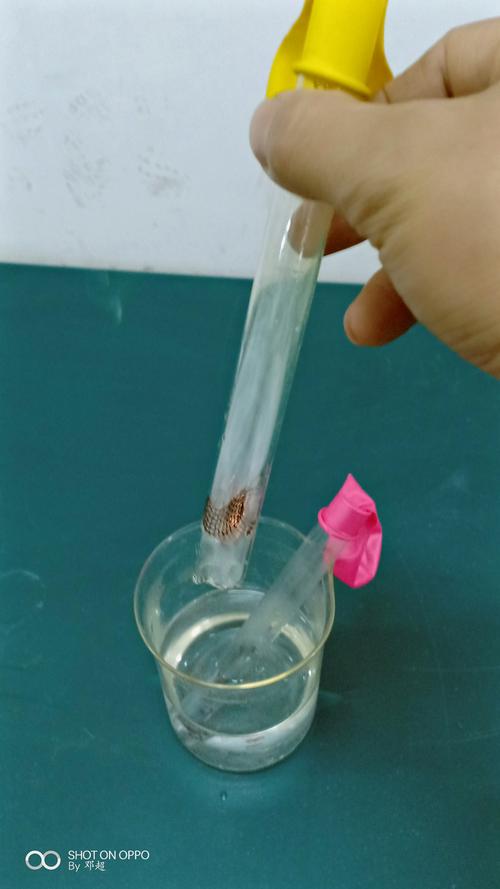 两个透明玻璃杯泡铁钉的腐蚀对比实验