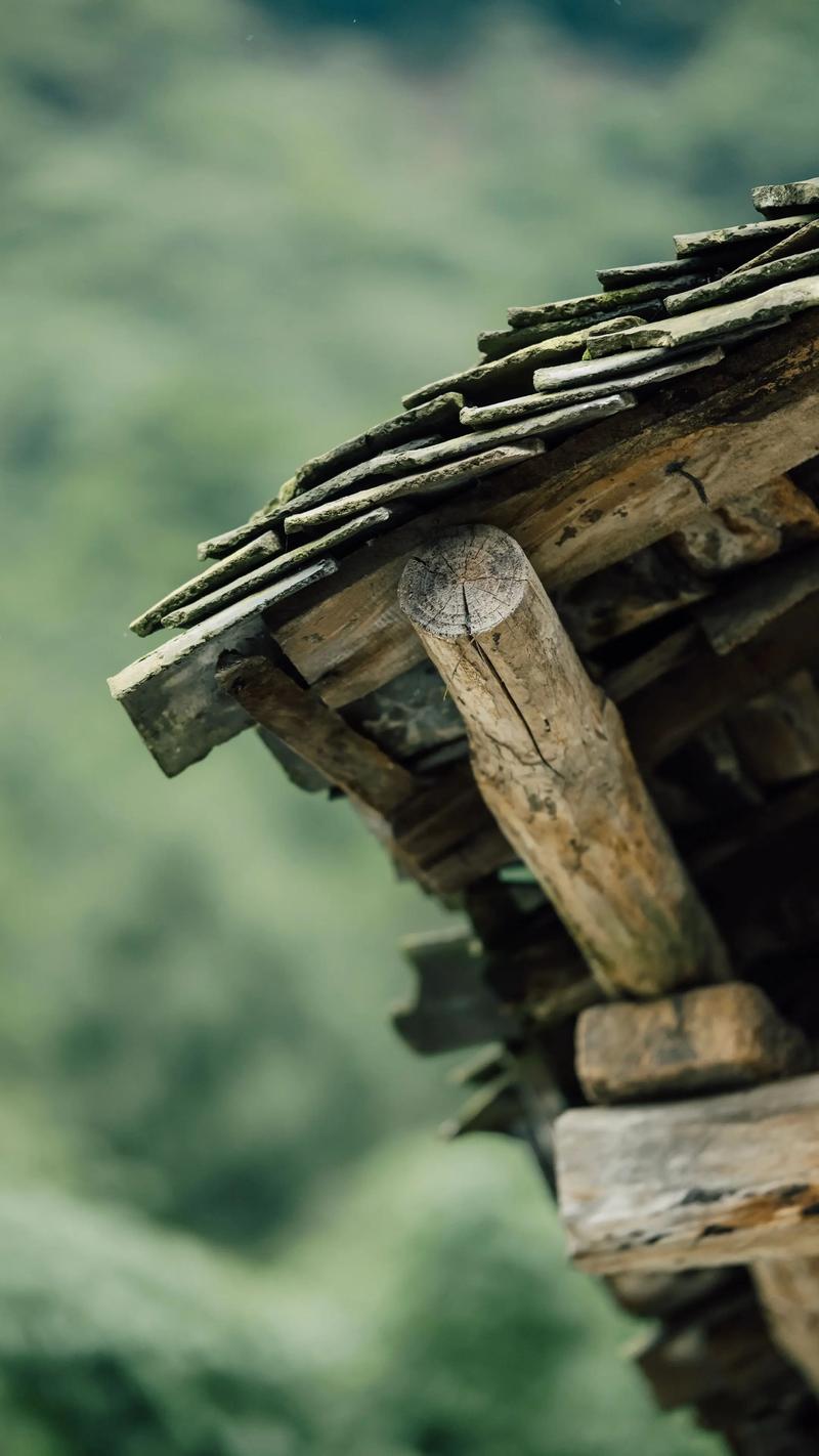 被嫌弃的瓦片：现代建筑的叛逃