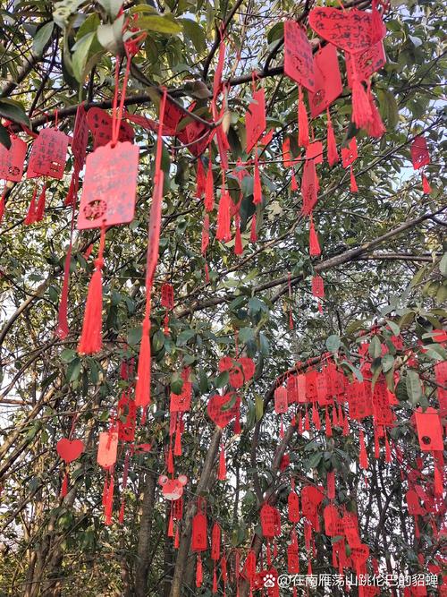户外婚礼木质心愿树装饰悬挂祝福卡