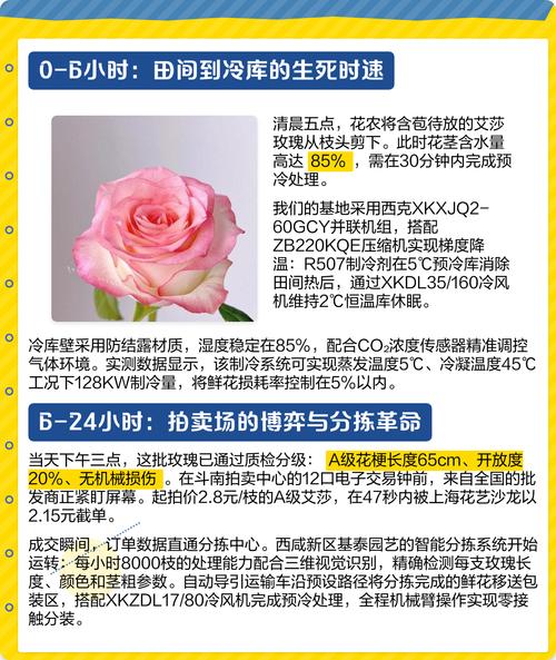 供应链上的“时间玫瑰”