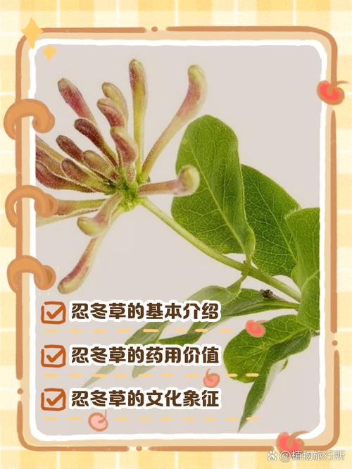 🌿 环保与安心:甲醛、开裂、防潮