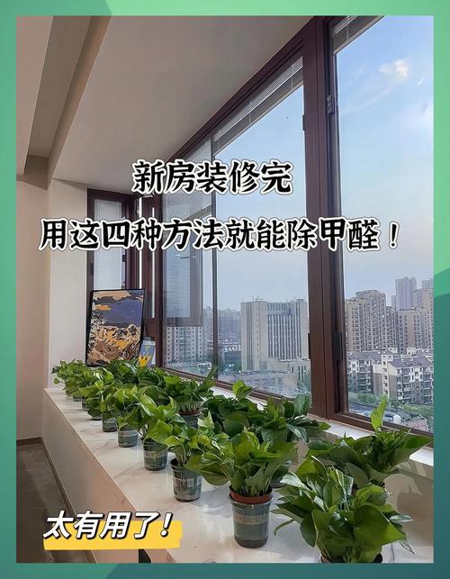 新装修房间开窗通风除甲醛