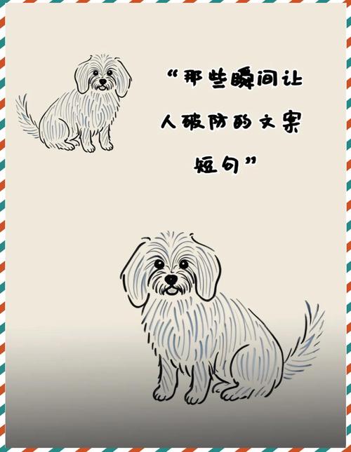 那些让人破防的温暖瞬间