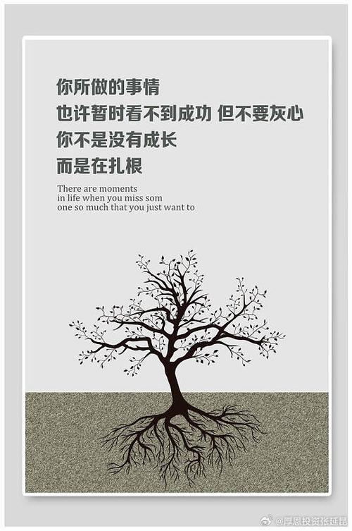 谁在真正“扎根”?