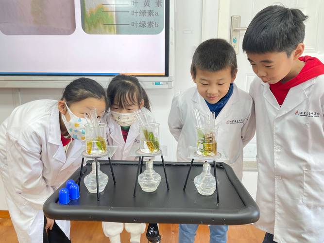 小学科学课学生按步骤操作实验