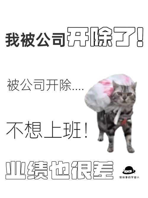被开除了,别慌,理一理