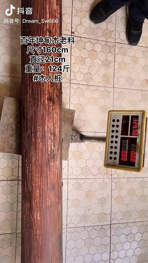 汕头老西马路手工肉丸坤甸木砧板
