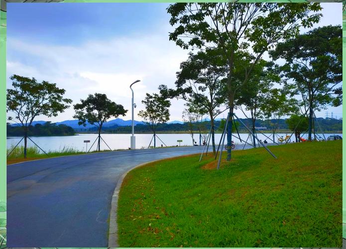 新手环湖骑行路线草坪休息场景