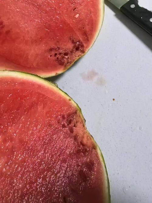 夏季户外常温放置的切开变质西瓜实拍