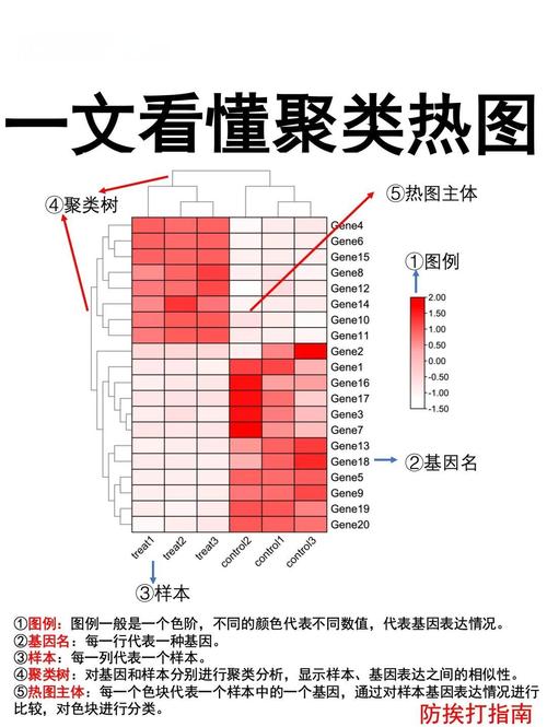 聚类好用，坑也不少