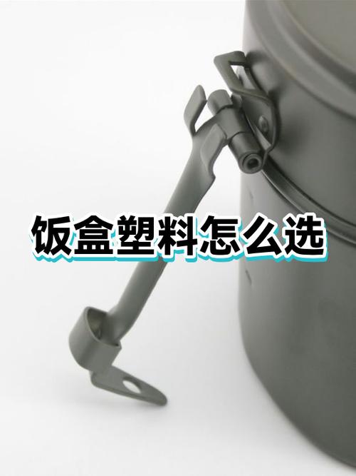 带饭通勤如何减少一次性包装?打工人的省钱环保秘籍-我问答网