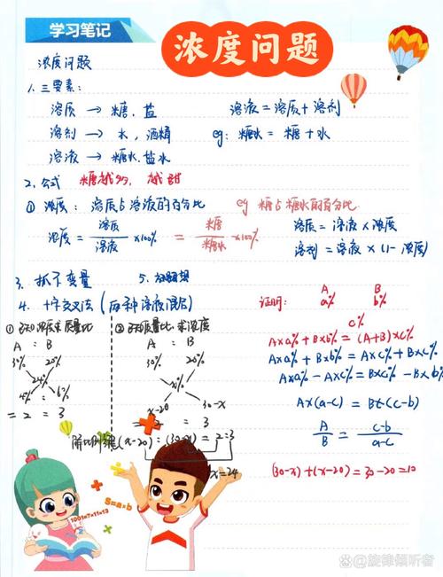 初中化学浓度计算经典题型错题本内页