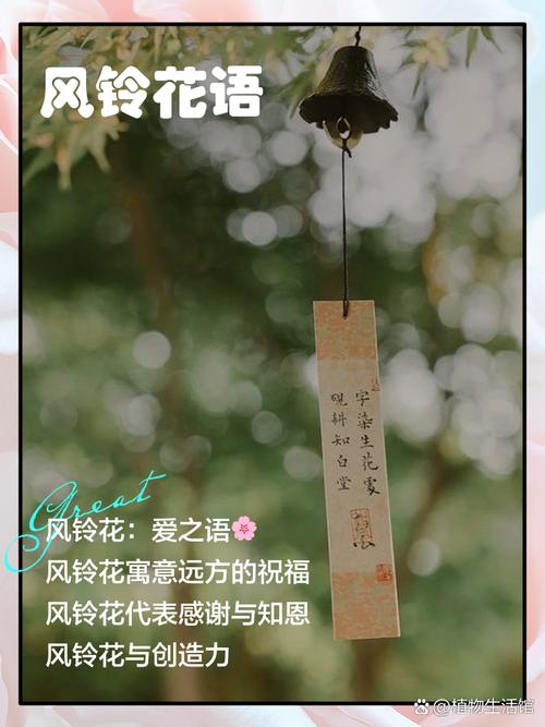 三、铃在风中,心在何处